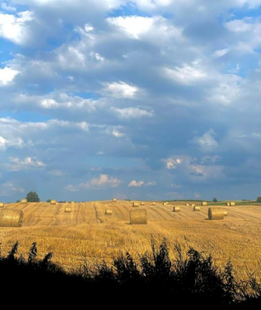 Jak Tu Ładnie - Osada i Siedlisko, Mikolajki